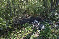 Esimene koristuspunkt